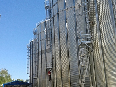 Facilities for the reception of grain
